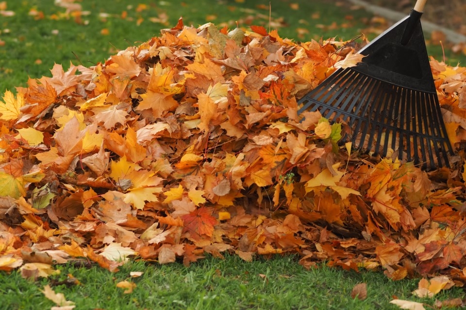 Yard Waste Disposal Site - October Hours